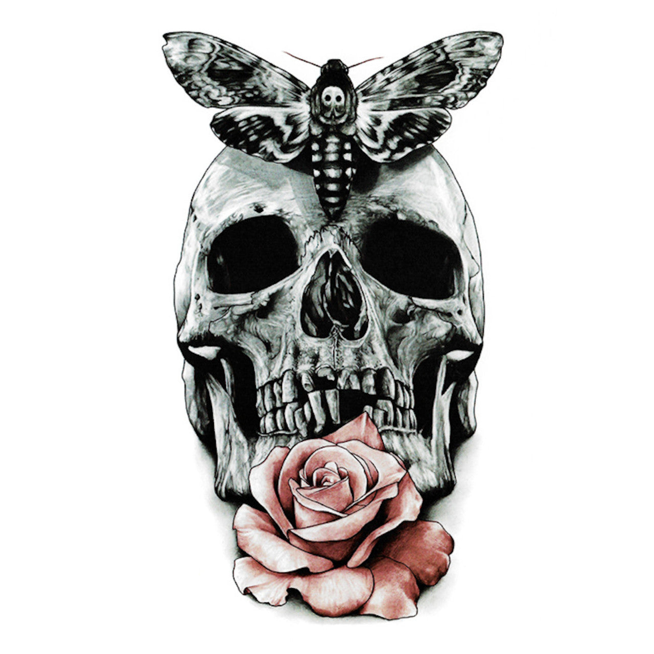 Moth Skull