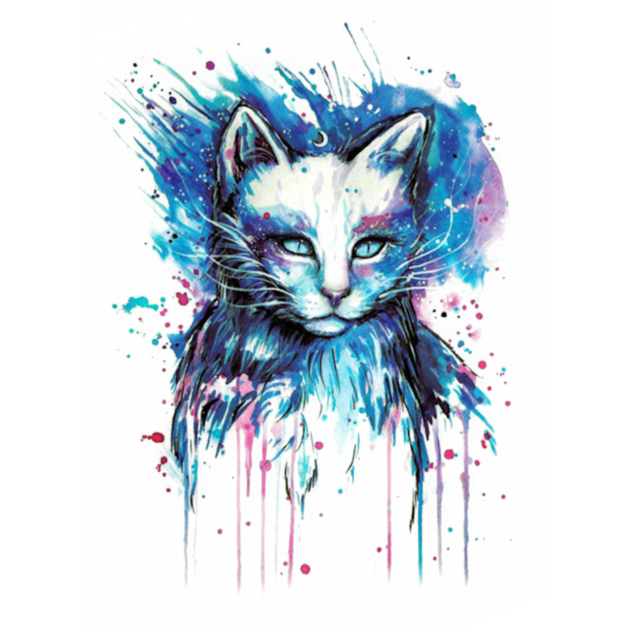 Galaxy Cat